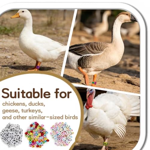 120 Pcs Chicken Leg Bands with Number & Letter Charms, Poultry ID Bands | Adjustable Poultry Identification Kit with 6 Color Bands and 300 Number & Letter Charms for Chicken, Duck, Turkey & Goose