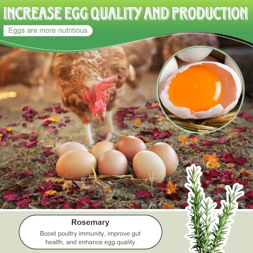 21Oz Chicken Nesting Herbs, 6 Natural Dried Herbs | Pleasant Fragrance, Improves Egg Quality, Keep Chickens Calm, Natural Ingredients for Chicken Coop, Nest Box, Dust Bath