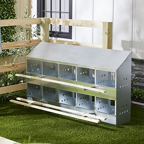 Brower 2-Tier 10-Hole Galvanized Steel Chicken Nesting Box, Silver, 2-Pack | Holds 50 to 60 Hens per Unit, Hinged Folding Perches, Ventilation Holes, Removable Bottoms, Slanted Roof