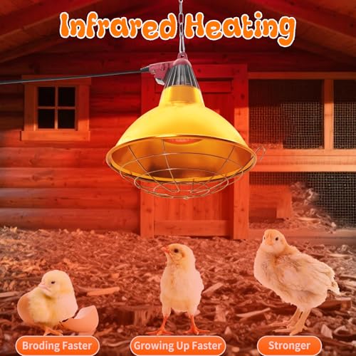 Large Chicken Coop Heat Lamp with 250w Infrared Heat Bulb | Adjust 2 Mode Temperature&Hanging Height,Aluminum Reflector for Coop Brooder,Cat,Puppy,Lamb