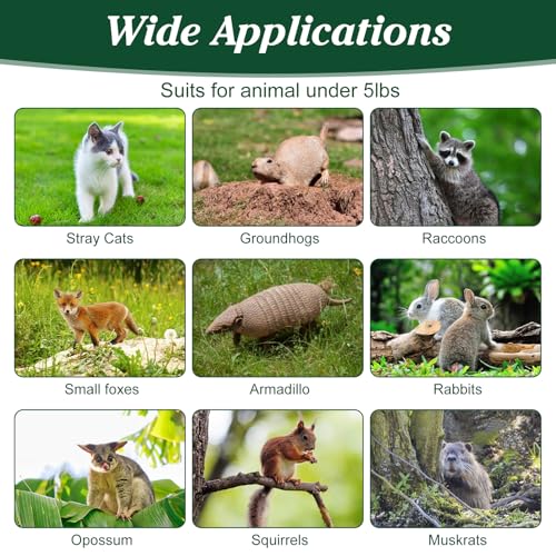 Humane Animal Trap, 23.3"x7.2"x7.7" Foldable Live Cage Traps | for Kitten Rabbits Racoons Beavers Groundhogs and Other Live Animals, Easy to Catch and Release, Work for Indoor Outdoor - size: 23.31"x7.21"x7.71"
