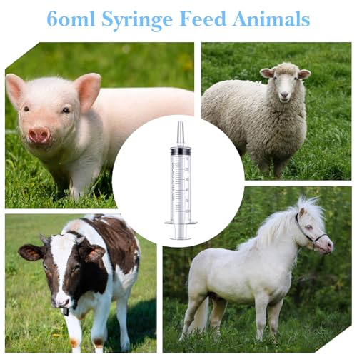 20 Pcs 60ml Syringe with Cap, Plastic Large Syringes for Liquid | Individually Wrapped, Measurement Syringes, without Needles, for Pet Feeding, Scientific Labs, Glue Applicator