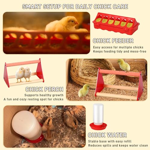 Chick Starter Kit 6-in-1 Chicken Brooder Box with 12"*12" Heating Plate | Pop-Up Chicken Brooder Playpen Tent with Chicks Feeder, Waterer, Perch & Nesting Pad for Poultry Ducks Quail Indoor Outdoor