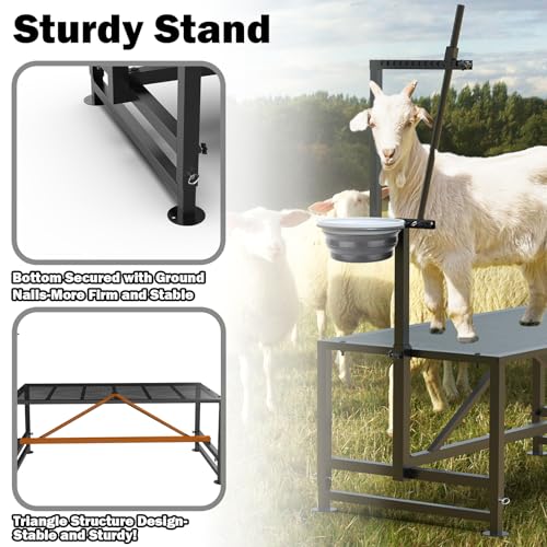 600 Lbs Goat Milking Stand with Feed Bin, Heavy Duty Goat Stand for Milking, Hoof Trimming & Grooming, Adjustable Goat Stanchion for Sheep and Goats, Iron Black - color: Black, size: L-47*23 Inch