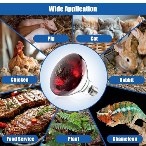 250W Heat Lamp Bulbs 1 Pack Infrared Heat Lamp for Chickens with E26 Socket and 5000 Hours Lifespan Heat Light Bulb for Pets Chicks Reptile Food Service Brooder Coop(2 Pack) - size: 2 Pack
