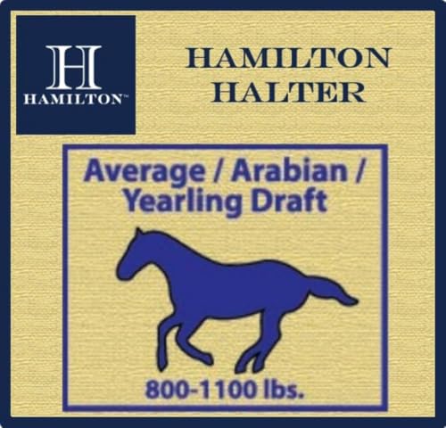 Hamilton Deluxe Adjustable Horse Halter, 800-1100 lbs, Navy Blue | Premium Quality 1" Triple Ply Nylon, Average/Arabian/Yearling Draft, Adjustable Chin Strap, Throat Snap, Solid Brass Hardware - color: Navy Blue, size: Average, 800-1100lbs
