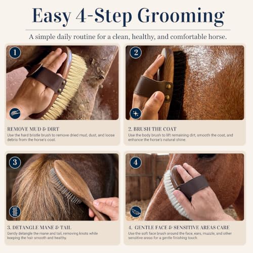 Premium Horse Brushes Set (4 Pieces) - Essential Equine Care Set with Beechwood Brushes, Natural Bristles, and Handcrafted Leather Bag - Luxury Gift for Horse Riders and Owners