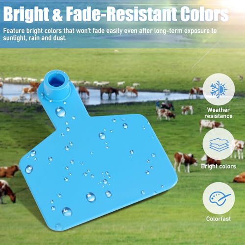 Blank Cattle Ear Tags 100 Pieces Livestock Identification Tags Blank Livestock Ear Tags for Cattle Cow Pig Goat Sheep Dog (Blue 3x2.44'') - color: Blue 3x2.5''