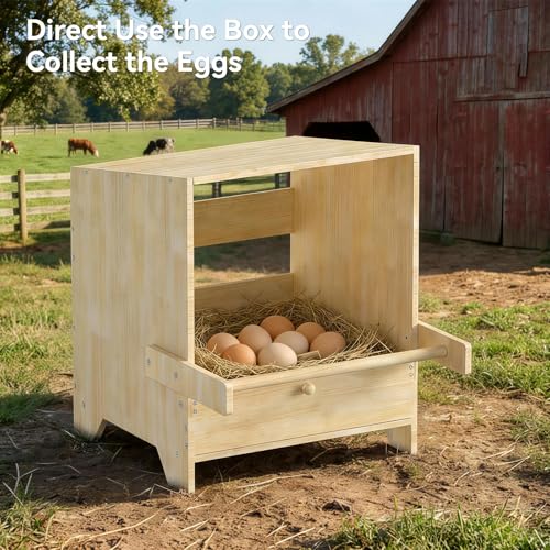 3 Hole Chicken Laying Boxes for Hens | Wood Egg Laying Box, Wall Mounted Nesting Boxes for Chickens, Hens, Ducks, Poultry