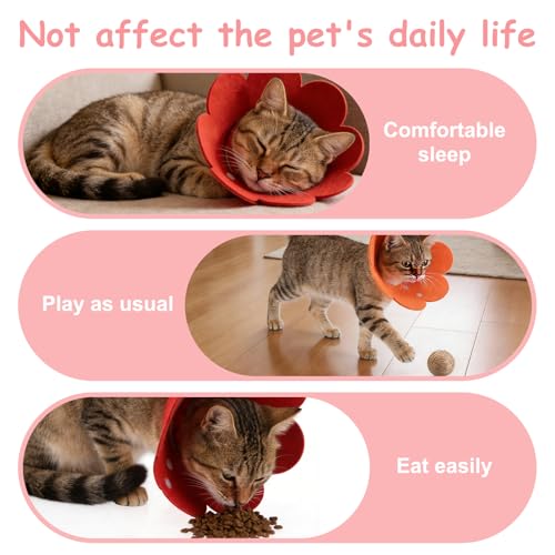 Felt Cat Recovery Collar, Cute Flower Cat Recovery Collar Adjustable Recovery Cones (2Pcs, M 8.7-9.8inch, Sky Blue) for Small Dogs Kittens Cats - color: Blue, size: M（2.5-4.5 KG/5.5-9.9 lb）