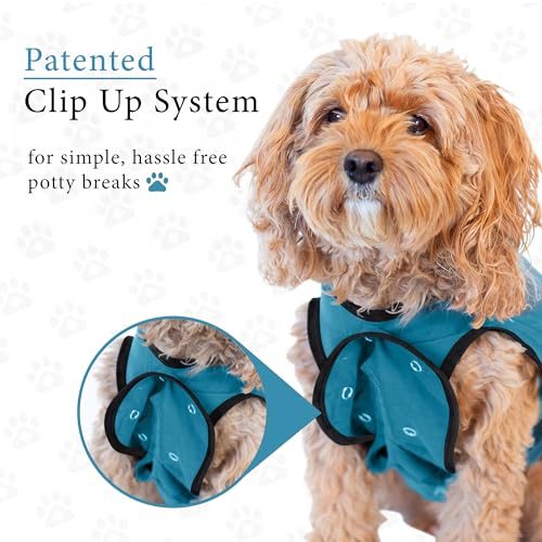 Dog Surgery Recovery Suit, Male Female After Spay Neuter Onesie | Soft Breathable Cotton, Anti-licking Cone Alternative, Protects Stitches & Abdominal Wounds, Patented Clip-up Potty System - color: Blue, size: X-Small