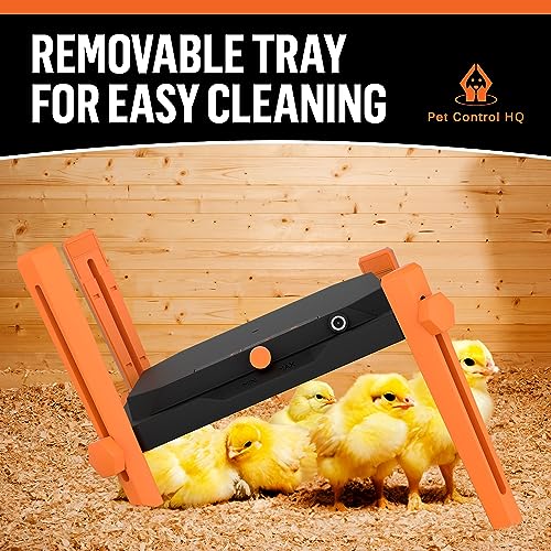 Pet & Livestock HQ Chicken Brooder Heater for Chicks - Chick Brooder Heat Plate - 12” x 12” Indoor Brooder Heating Kit with Adjustable Height and Temperature Display