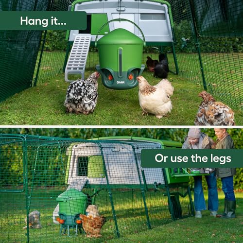 Omlet Insulated Chicken Waterer, 3 Gallon | Stay-Clean Automatic Water Dispenser for Chickens | BPA-Free | Anti-Roost Domed Lid | Includes 5 Cups & Nipples | Eglu Green - color: Eglu Green, size: 3 Gallon