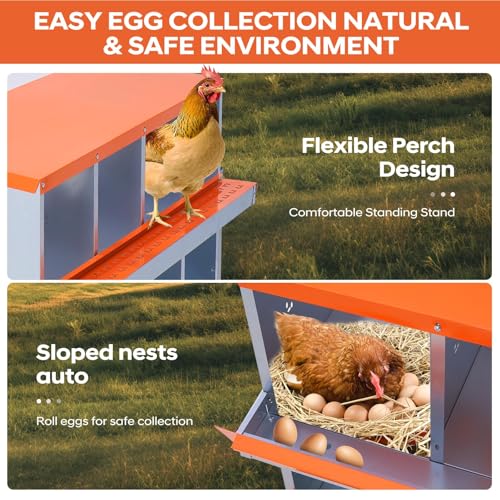 Garvee Chicken Nesting Box, 10 Compartments Nesting Box for Chickens, Galvanized Steel Chicken Laying Box for Easy Egg Collection, Wall Mounting - color: Orange | 10 Compartment+legs