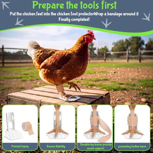 Xuhal 8 Pack Poultry Leg Support Kit with Toe Separator & Bandage 4 Sizes Chicken Splint for Broken Feet & Curled Toes Fixing Fractures, Curled Toes, Bumblefoot in Ducks, Chickens, Geese(White) - color: White