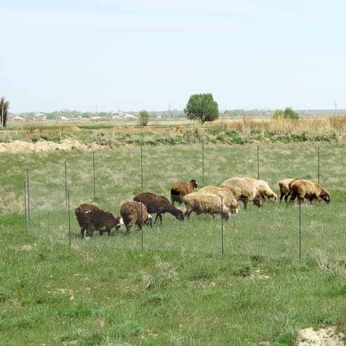Non Electric Fence Netting 40" x100', Boundary Fence with Double Spiked Posts, Portable Poultry Fence All-Purpose Fencing for Dogs, Chickens, Ducks, Turkeys Suitable in Backyard, Garden, Farm