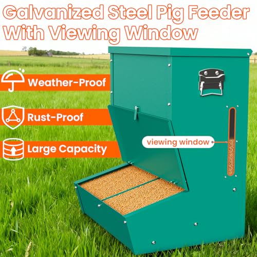 Hog Feeder for Pigs, 2 Door Heavy Duty Pig Feeder with Rainproof Lid, Self Feeder for Outdoor Use on Hog Farm, Homestead, or Pasture - size: 2 Door