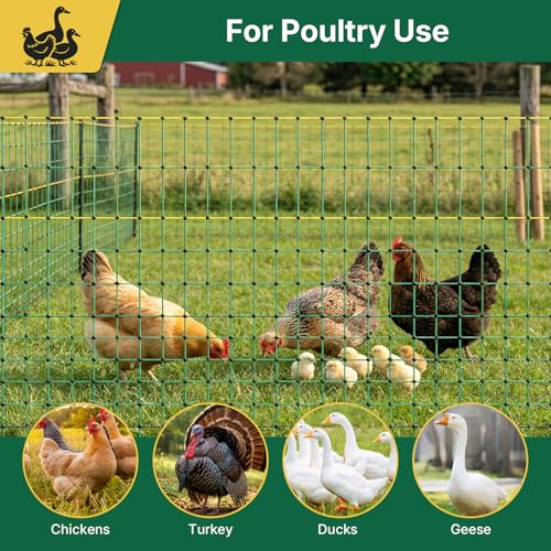 Electric Poultry Netting 41.5" H x 164' L, Portable Electric Chicken Fence for Chickens, Ducks, Geese & Turkey, Anti-Predator Poultry Net Fencing with Double Spike Posts for Backyard, Farm & Homestead - size: 41.5" H x 164' L Poultry