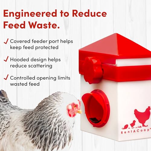RentACoop Chick2Chicken 2.5lb BPA-Free Single-Port No-Waste Chicken Feeder