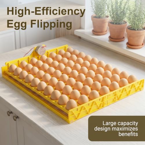 Automatic Egg Turner Tray, 70 Eggs Fully Automatic Incubator Tray with Motor, 110V Plastic Egg Turning Device Universal for Hatching Chickens, Ducks, Geese, Pigeons, Birds, Quail