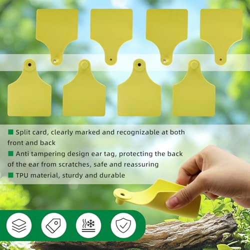 TPU Large Size Split Type Blank Large Cattle Ear Tags,50PCS Upgrade to Prevent Tampering Livestock Ear Tags, for Cattle,Sheep Goat, Pig, 3.9x2.9in (Yellow) - color: Yellow