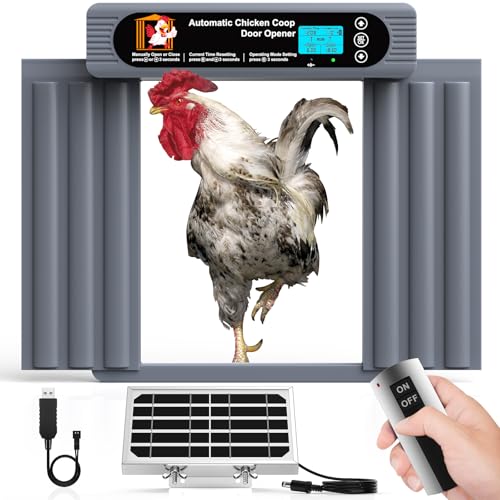 Automatic Chicken Coop Door, Extra Large Size, Anti-Pinch Design,Programmable Timer & Light Sensor Modes, Large LCD Display, Solar Powered Auto Chicken Door Opener with Remote Control（50-100m）