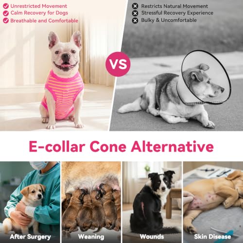 cyeollo Dog Surgery Recovery Suit, Surgical Onesie for Female & Male Dogs | Prevents Licking, Cone Alternative, Ideal After Spay & Neuter, Protects Surgical Wounds, Easy Potty Access, 4-Way Stretch - color: Fuchsia Stripes, size: X-Small (Back: 9"-11")