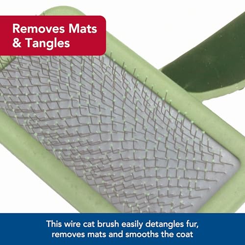 Coastal Pet Safari - Cat Soft Slicker Brush (6.5 x 3.5 Inches)