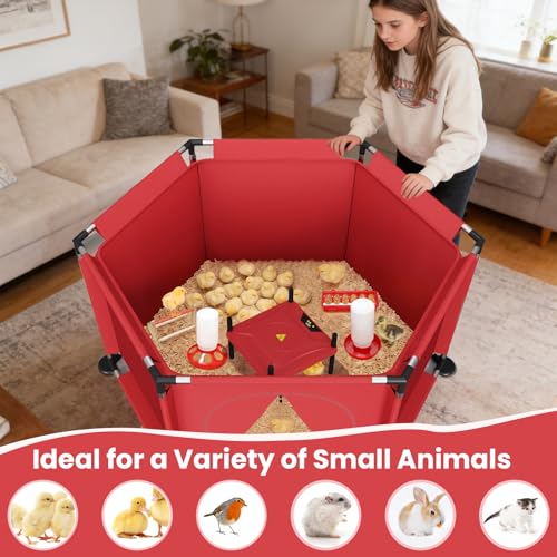 Brooder Box for Chicks, All-in-One Chick Starter Kit, Stainless Steel Frame Baby Chicken Brooder Playpen with Heater, Perch, Feeder & Waterer Set, Up to 30 Chicks, Hexagon Style