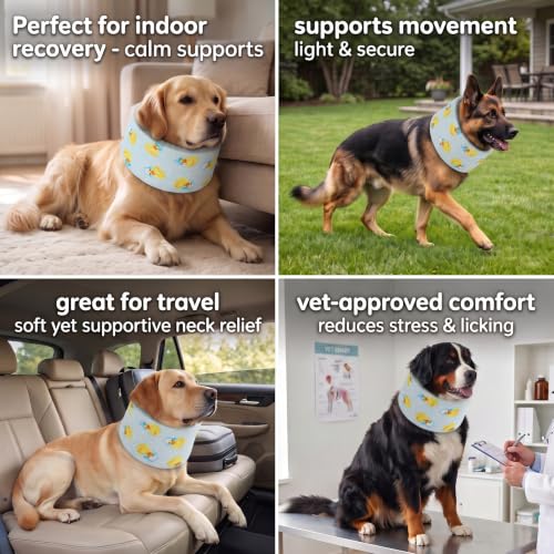 LovinPet Dog Recovery Collar, Adjustable Soft Cone for Medium & Large Dogs, Post-Surgery Comfort & Lick Prevention, Ducks with Hats Print,Blue