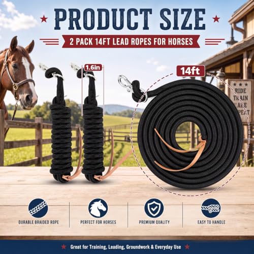 14ft Training Lead Rope, 5/8'' Thick Braided Horse Lead, Black | Cotton Web Lunge Line, Solid Metal Trigger Snaps, for Horse Training Lunging Ground Driving Daily Leading Equine