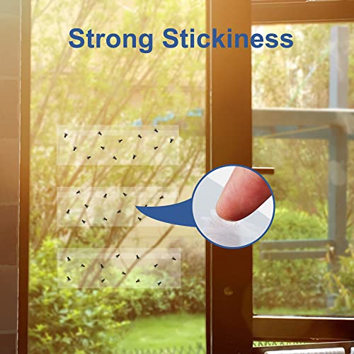 Dichroma 50 Pack Sticky Window Fly Traps Indoor Fly Paper Stickers Clear | Fly Strips for Window Fruit Fly Gnat Trap