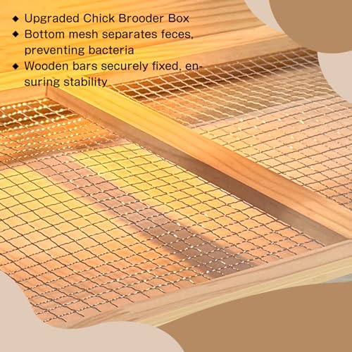 25-Piece Large Chicken Brooder Box 32", Drawer Manure Separation, All-in-One Kit, Up to 35 Chicks, Brooder with Temp Controller, Thermometer, Chicken Brooder Box for Quail, Hamsters, Pattern C - size: 31.5"L x 15.75"W x 15.75"H