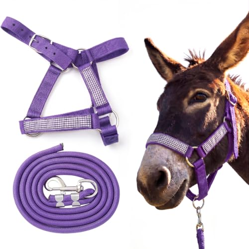 1 Set Mini Donkey Halter with Lead Rope Adjust, Purple | Nylon Head Collar, Cute and Stylish, for Miniature Donkey and Small Equines, Farm Ranch Pasture Outdoor, Gingham Plaid Trim - color: Purple