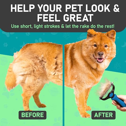 Maxpower Planet Dog Rake and Brush Set for Shedding, Undercoat & Mats | Deshedding Tool, Detangling, Self-Cleaning Design, Medium & Long Hair, For Cats Too, Gentle Grooming - color: A - Rake & Brush (Best Value), size: Large