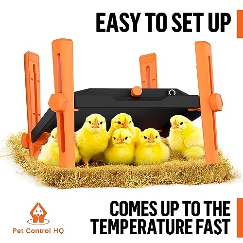 Pet & Livestock HQ Chicken Brooder Heater for Chicks - Chick Brooder Heat Plate - 12” x 12” Indoor Brooder Heating Kit with Adjustable Height and Temperature Display