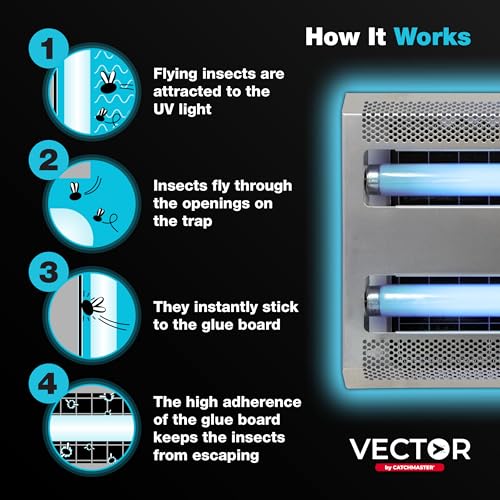 Catchmaster Vector 30 Silver Wall-Mounted UV Fly Light Trap - 1,500 sq. ft. Catch Zone, Fly Trap for Food Prep & Dining Areas, Deli, Meat & Bakery, Clean Medical Spaces, UV Lamp Flying Insect Killer - style: 30W Silver