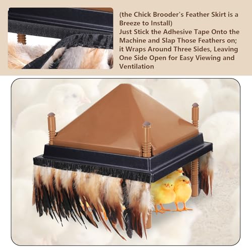6.5FT Feathers for Chick Brooder Heating Plate,Warm and Secure As They Would Under a Mother Hen, Cuttable, Compatible with Most Chick Brooder Sizes (1Pcs 6.5FT)