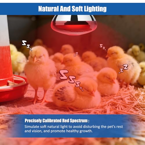 250W Heat Lamp Bulbs 1 Pack Infrared Heat Lamp for Chickens with E26 Socket and 5000 Hours Lifespan Heat Light Bulb for Pets Chicks Reptile Food Service Brooder Coop - size: 1 Pack