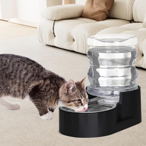 RIZZARI 4L Gravity Cat Water Dispenser: Filtered Hydration for Indoor Cats | Activated Carbon Filter / Stainless Steel Bowl / Apartment Friendly / Bedroom & Kitchen Use / Easy Cleaning/Helps Reduce Odor - color: Dark Black, size: 4L