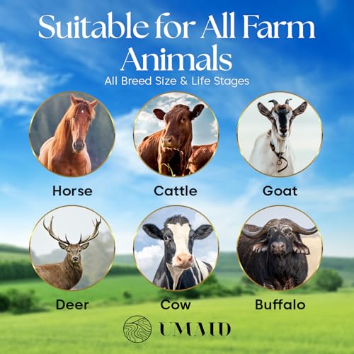 UMAID Himalayan Salt Lick 3 lbs On Rope for Horse, Deer, Goat, and Livestock Animals - Himalayan Salt Block 6 Pack - size: 3 Pound (Pack of 6)