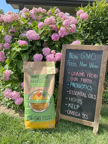 Non-GMO 40 lb Turkey Feed - Natural Peacock, Game Bird & Bird Feed, 24% High Protein Complete Food with Essential Oils, Herbs, Vitamins & Probiotics Formula for Healthy Flock Growth - size: 40 Pound (Pack of 1)