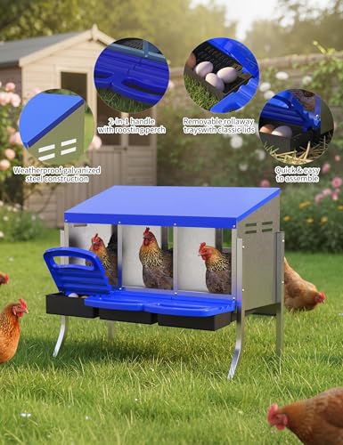 Metal Chicken Nesting Box with Easy-Collect Tray & Lid – 3/4/2x2 Compartment Heavy Duty Roll Away Nesting Boxes for Chickens, Wall Mount or Freestanding, Galvanized Steel Hen Laying Box for Coop