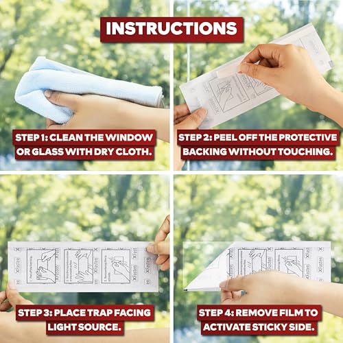 XFasten Window Fly Traps Sticky Clear 50-Pack Fruit Fly Traps for Indoors Sticky, Residue-Free, Odorless, Discreet Adhesive Indoor Catcher for Fruit Flies Houseflies, Gnats on Windows Kitchen Garage - style: 50-Pack