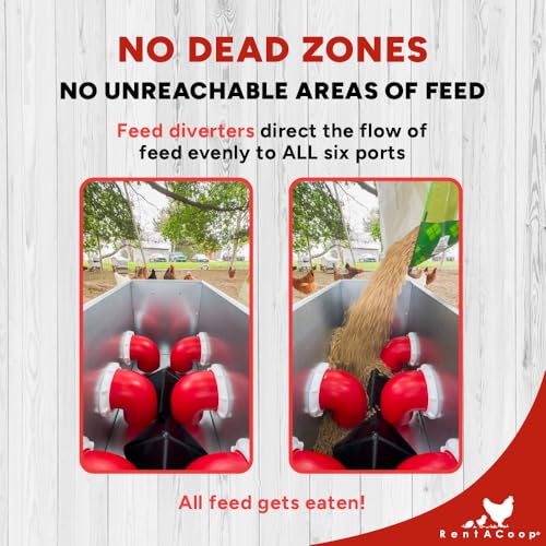 RentACoop 65 lb Large Capacity Chicken Feeder with 6 Ports, Adjustable Legs - size: 65 LB