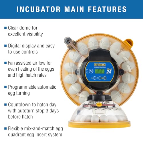 Brinsea Maxi 24 Advance Complete Classroom Egg Hatching Incubation Kit | Bring embryology to life! Includes incubator, all accessories & lesson plans teachers need for effortless classroom hatching - size: Classroom Kit, 24 Eggs