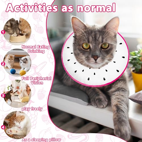 Cat Cone Collar Soft, Cat Recovery Cone (Dragonfruit, L) | Stop Licking, Cute Kitten Donut Collar After Surgery, Elizabethan Collars for Kittens, Lightweight Cats Neck Cones - color: Dragonfruit, size: Large