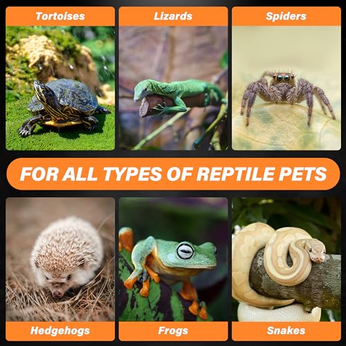 Simple Deluxe 100W Ceramic Heat Emitter 2 Pack Reptile Heat Lamp No Light Emitting Heat Bulbs for Amphibian Terrarium, Bearded Dragon Lizard Snake Turtle, Brooder Coop Incubating Chicken - size: 100W *2, style: D-75mm