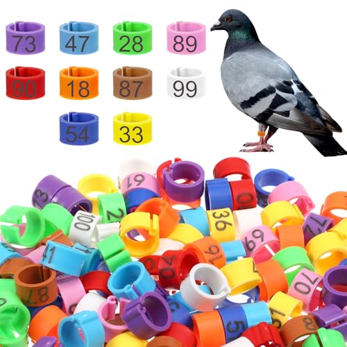 100 Pcs 8mm Birds Leg Rings, 10 Colors Readable Numbered Quail Pigeons Chick Identification Leg Bands Clip on Leg Rings for Baby Chick Finch Bantam Dove Small Birds