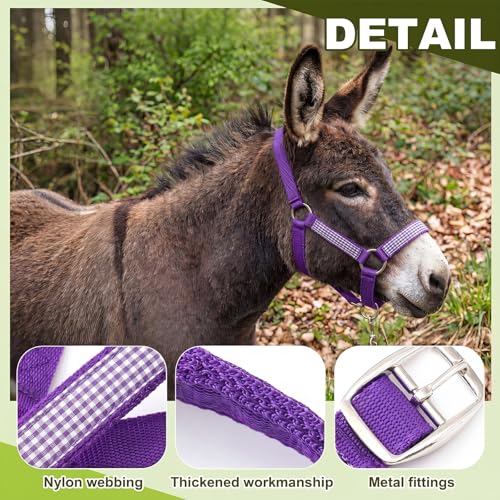 1 Set Mini Donkey Halter with Lead Rope Adjust, Purple | Nylon Head Collar, Cute and Stylish, for Miniature Donkey and Small Equines, Farm Ranch Pasture Outdoor, Gingham Plaid Trim - color: Purple